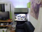 DSC00062.JPG