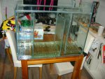 DSC00071.JPG