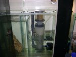 DSC00173.JPG