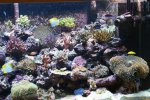 DSC00815.JPG
