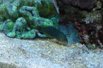 DSC00854.JPG