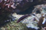 DSC00874.JPG