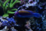 DSC00842.JPG
