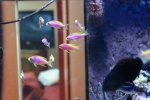 DSC00818.JPG