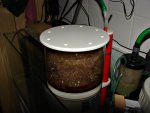 DSC01670.JPG
