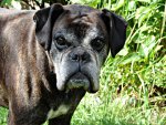 DSC00016.JPG