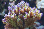 12 sep 2008 001.JPG