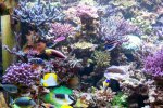 12 sep 2008 010.JPG
