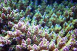 12 sep 2008 016.JPG