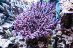 12 sep 2008 030.JPG
