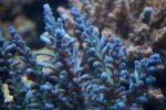 12 sep 2008 035.JPG