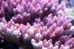 12 sep 2008 040.JPG