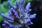 12 sep 2008 092.JPG