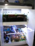 IMG_0429.JPG