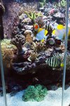 DSC01037.JPG
