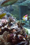 DSC01039.JPG