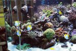 DSC01042.JPG