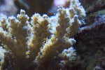 DSC00925.JPG