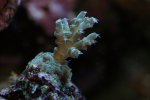 DSC00941.JPG