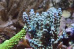 DSC01028.JPG