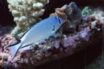 DSC01058.JPG