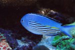 DSC01065.JPG