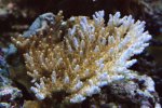 DSC01047.JPG