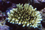 DSC01049.JPG