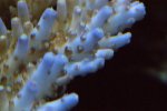DSC01078.JPG