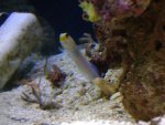 DSC00319.JPG