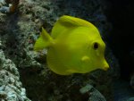 DSC00305.JPG