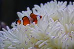 IMG_6157x.jpg