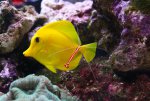 IMG_1066x.jpg