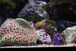 IMG_1155x.jpg