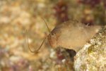 IMG_6213kopie.jpg