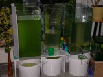 mega plankton reactor.JPG