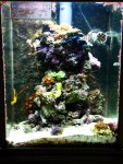 fts2.jpg