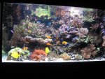 aquarium okt 2008[1].jpg