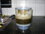 DSC00329.JPG