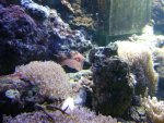 DSC00334.JPG