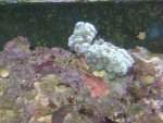 DSC00336.JPG