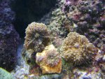 DSC00409.JPG
