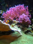 DSCN9747.jpg