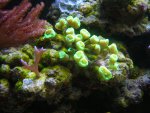 DSCN9743.jpg
