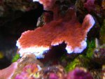 DSCN9757.jpg