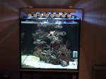 DSC00065.JPG