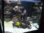DSC00050.JPG