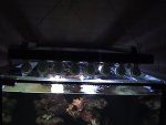 DSC00051.JPG