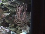 DSC00058.JPG