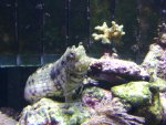 DSC00418.JPG